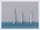 TeamRegatta2014