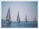 TeamRegatta2014