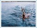 TeamRegatta2014