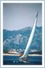 TeamRegatta2014