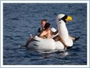TeamRegatta2016