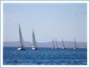 TeamRegatta2016