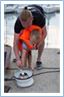 TeamRegatta2016
