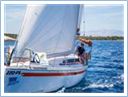 TeamRegatta2017