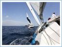 TeamRegatta2019