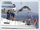 TeamRegatta2019