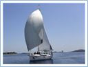 TeamRegatta2019