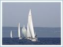 TeamRegatta2019