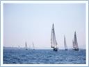 TeamRegatta2021