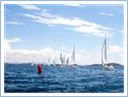 TeamRegatta2022