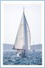 TeamRegatta2022