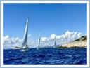TeamRegatta2024