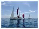 TeamRegatta2024