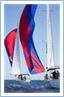 TeamRegatta2024