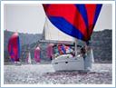 TeamRegatta2024